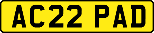 AC22PAD