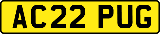 AC22PUG