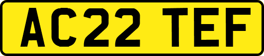 AC22TEF