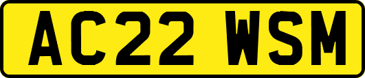 AC22WSM
