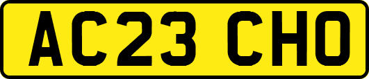 AC23CHO