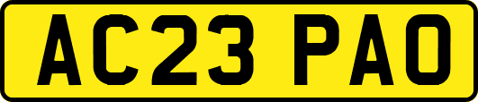 AC23PAO