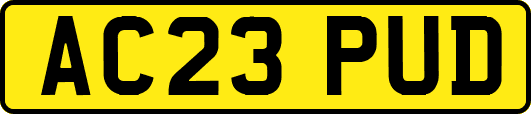 AC23PUD