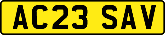 AC23SAV