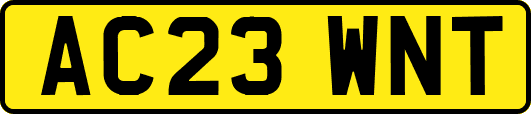 AC23WNT