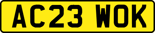AC23WOK