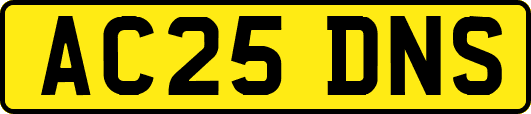 AC25DNS