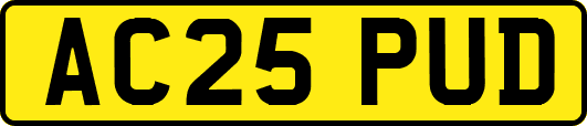 AC25PUD