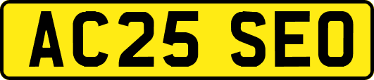 AC25SEO