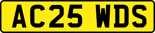 AC25WDS
