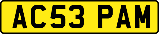 AC53PAM