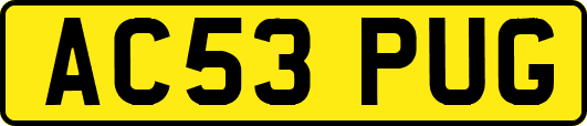 AC53PUG