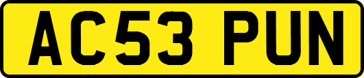 AC53PUN