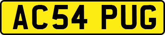 AC54PUG