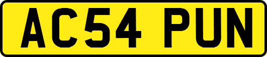 AC54PUN