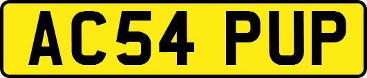 AC54PUP