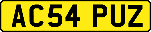 AC54PUZ