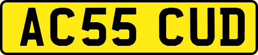 AC55CUD