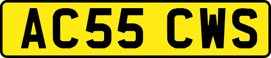 AC55CWS