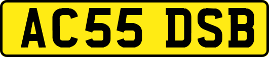 AC55DSB