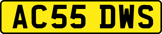 AC55DWS