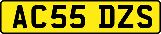 AC55DZS