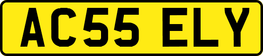 AC55ELY
