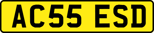 AC55ESD