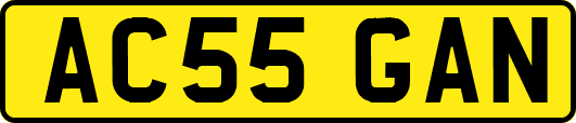 AC55GAN