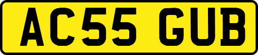 AC55GUB