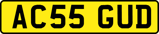 AC55GUD