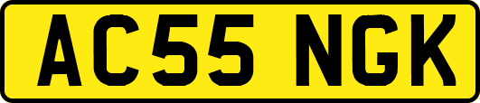 AC55NGK