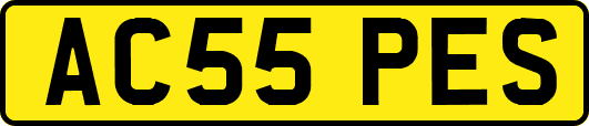 AC55PES