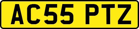 AC55PTZ