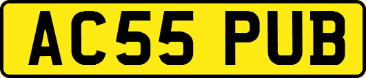 AC55PUB