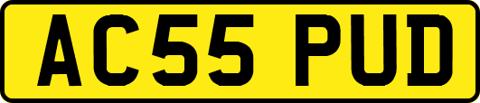 AC55PUD