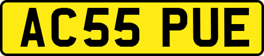 AC55PUE