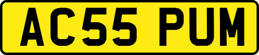 AC55PUM