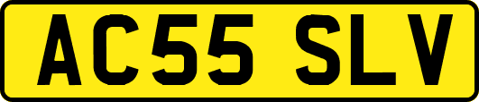 AC55SLV