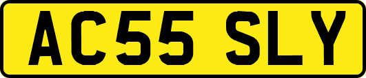 AC55SLY