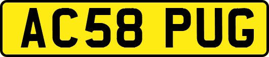 AC58PUG