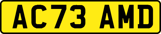 AC73AMD