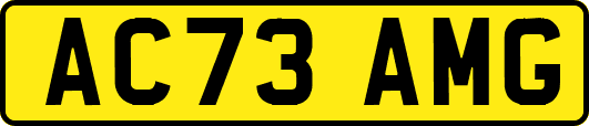 AC73AMG