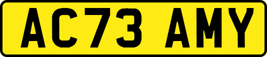 AC73AMY