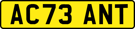 AC73ANT
