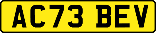 AC73BEV