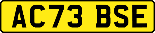 AC73BSE