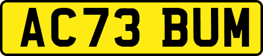 AC73BUM