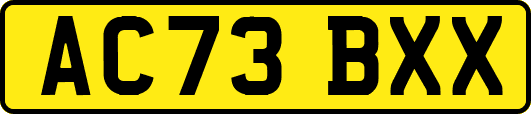 AC73BXX