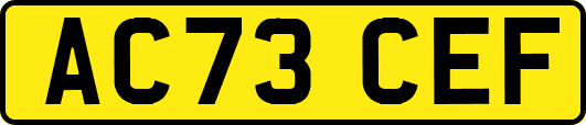 AC73CEF
